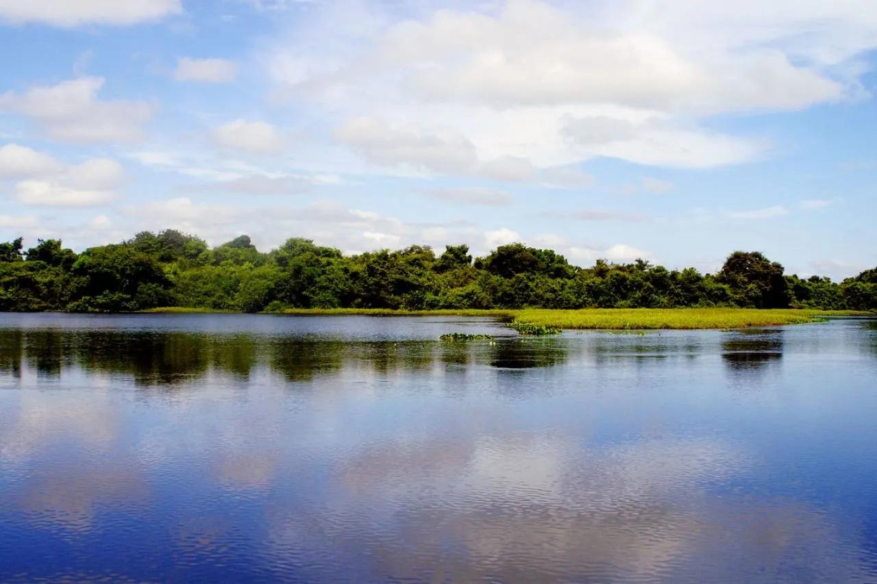 Mato Grosso e Instituto de Pesquisa do Pantanal reforçam parceria